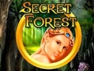 секретный лес